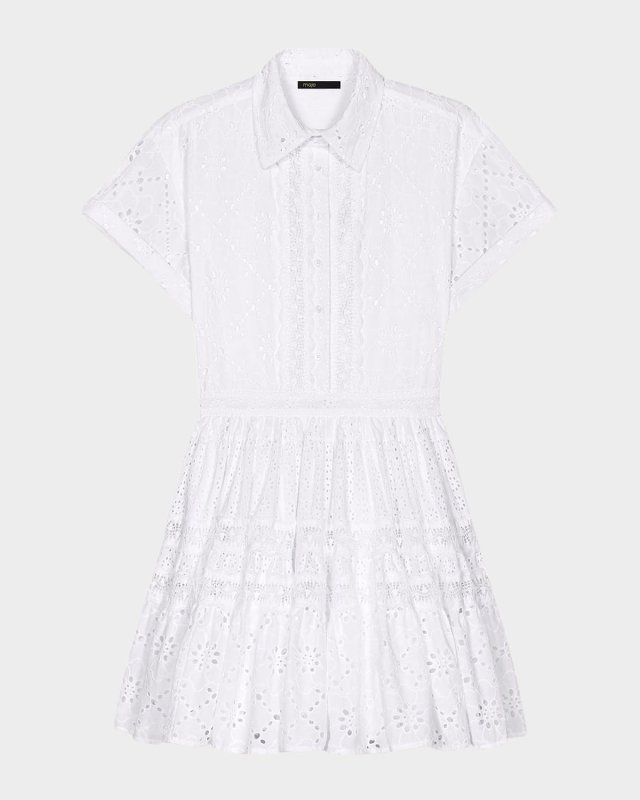 Ribrody Embroidered Mini Dress